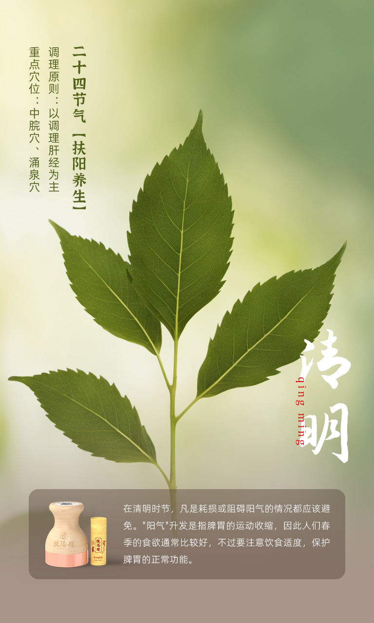 清明节气 04月04日-05日相关示意图